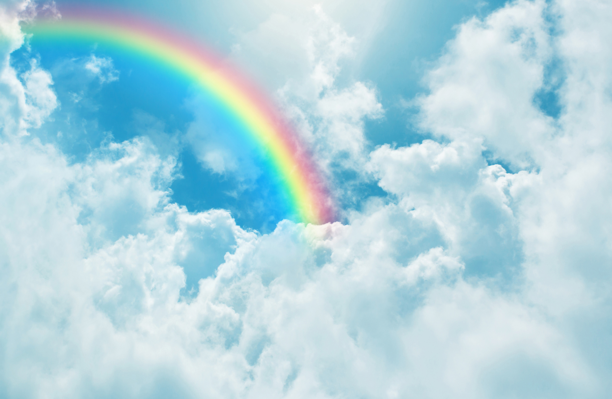 TAYLOR GRAY - 11x17 ALL YEAR LONG VOL 2 insert set of 12