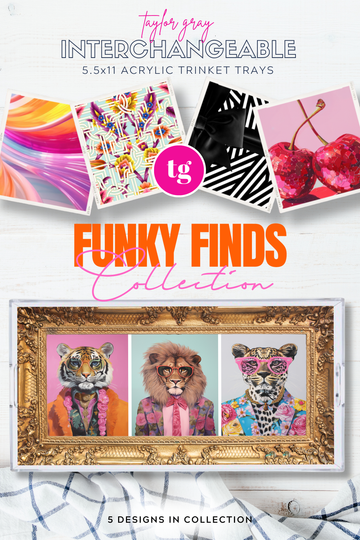 TAYLOR GRAY - 5.5x11 FUNKY FINDS trinket tray insert set of 5