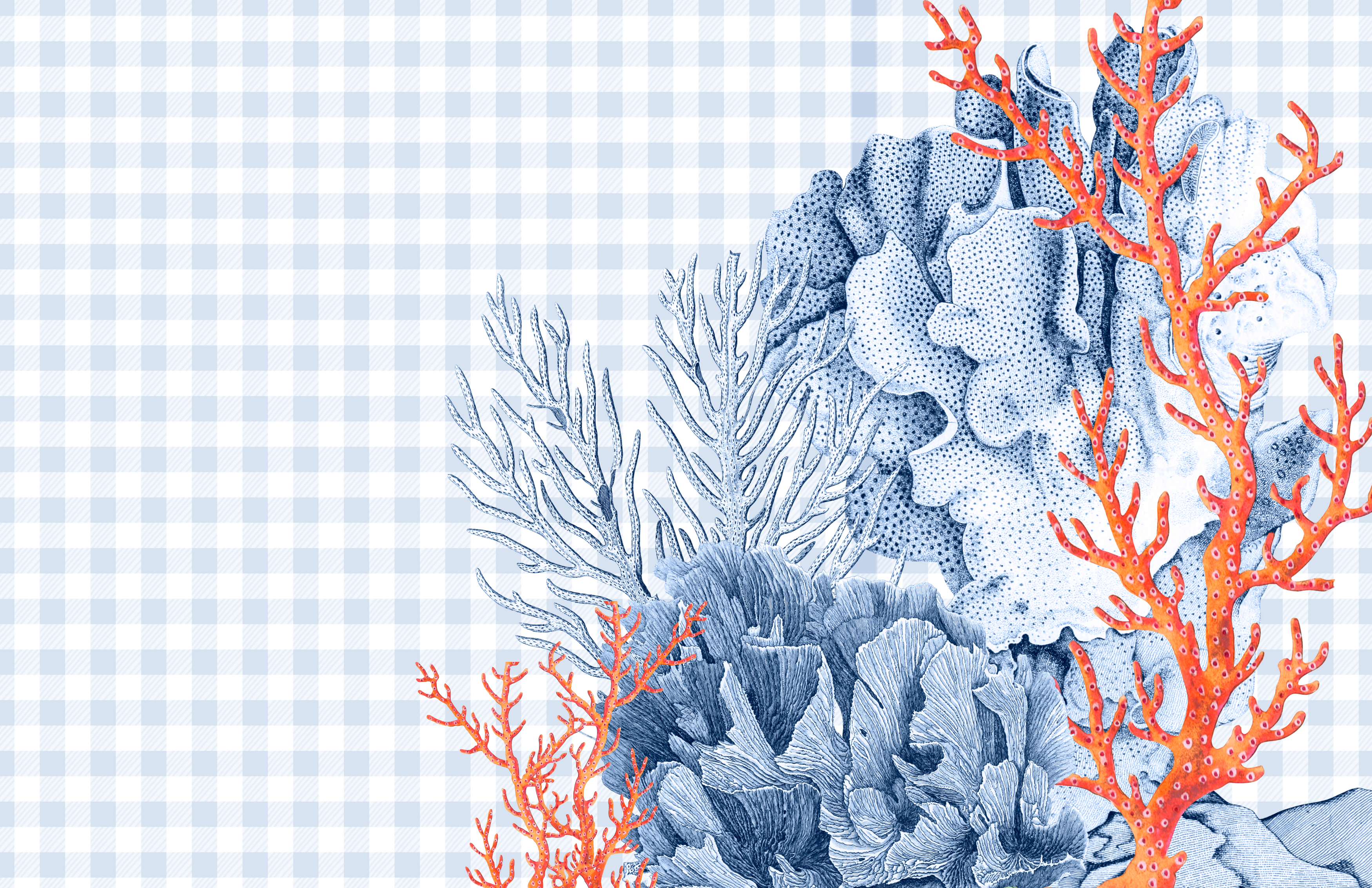 TAYLOR GRAY - 11x17 PREPPY PLEASE VOL 2 insert set of 10