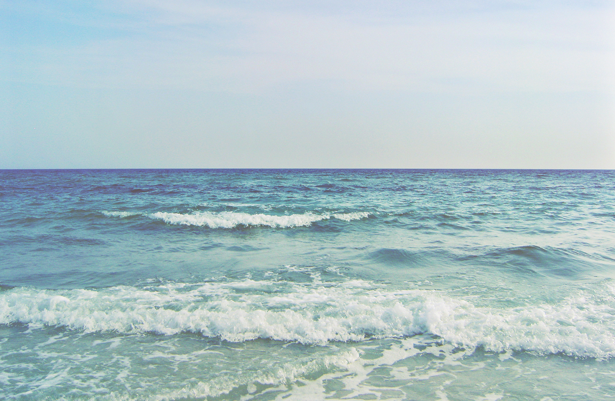 TAYLOR GRAY - 11x17 ALL YEAR LONG VOL 2 insert set of 12