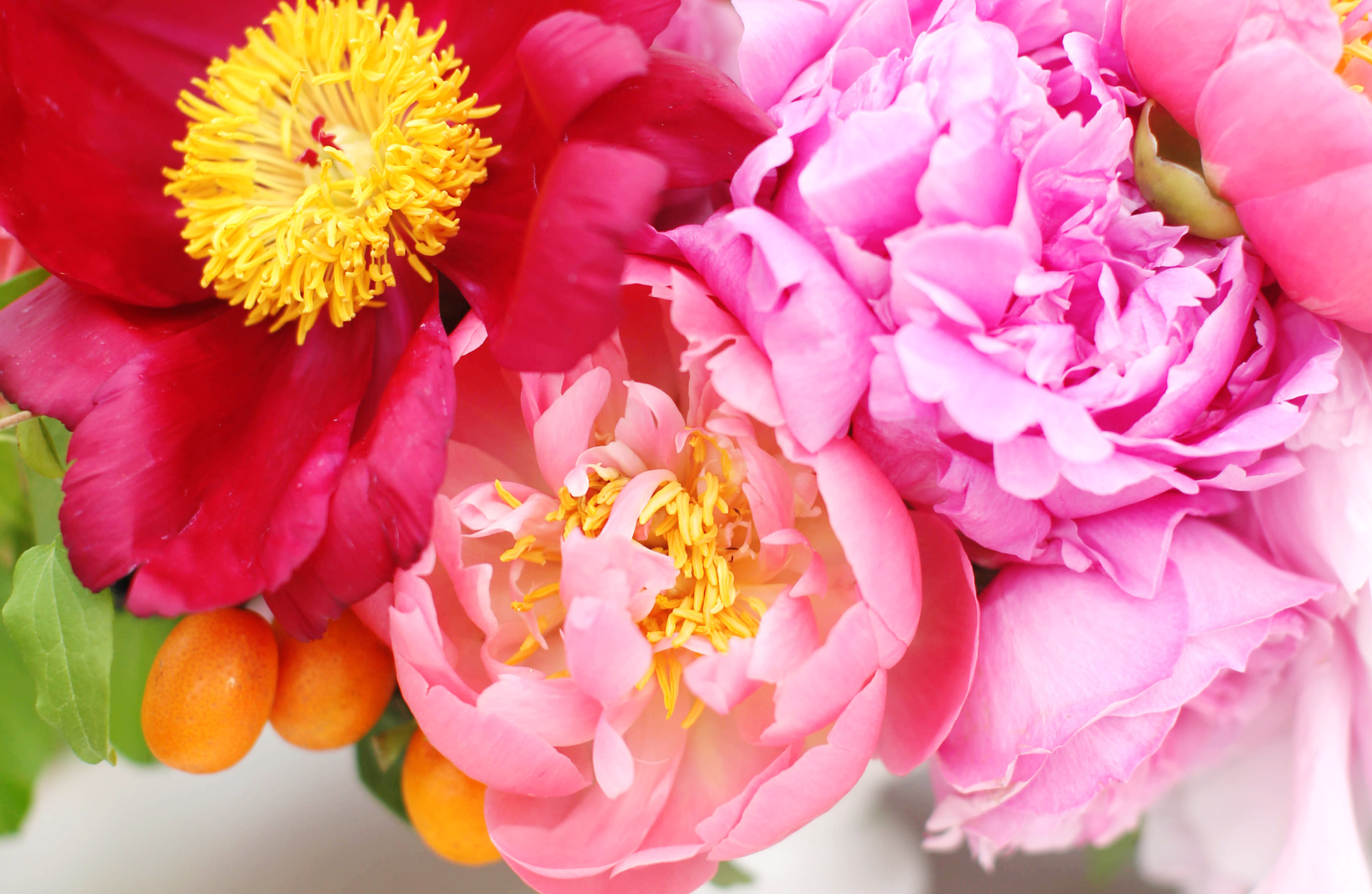 TAYLOR GRAY - 11x17 ALL YEAR LONG VOL 2 insert set of 12