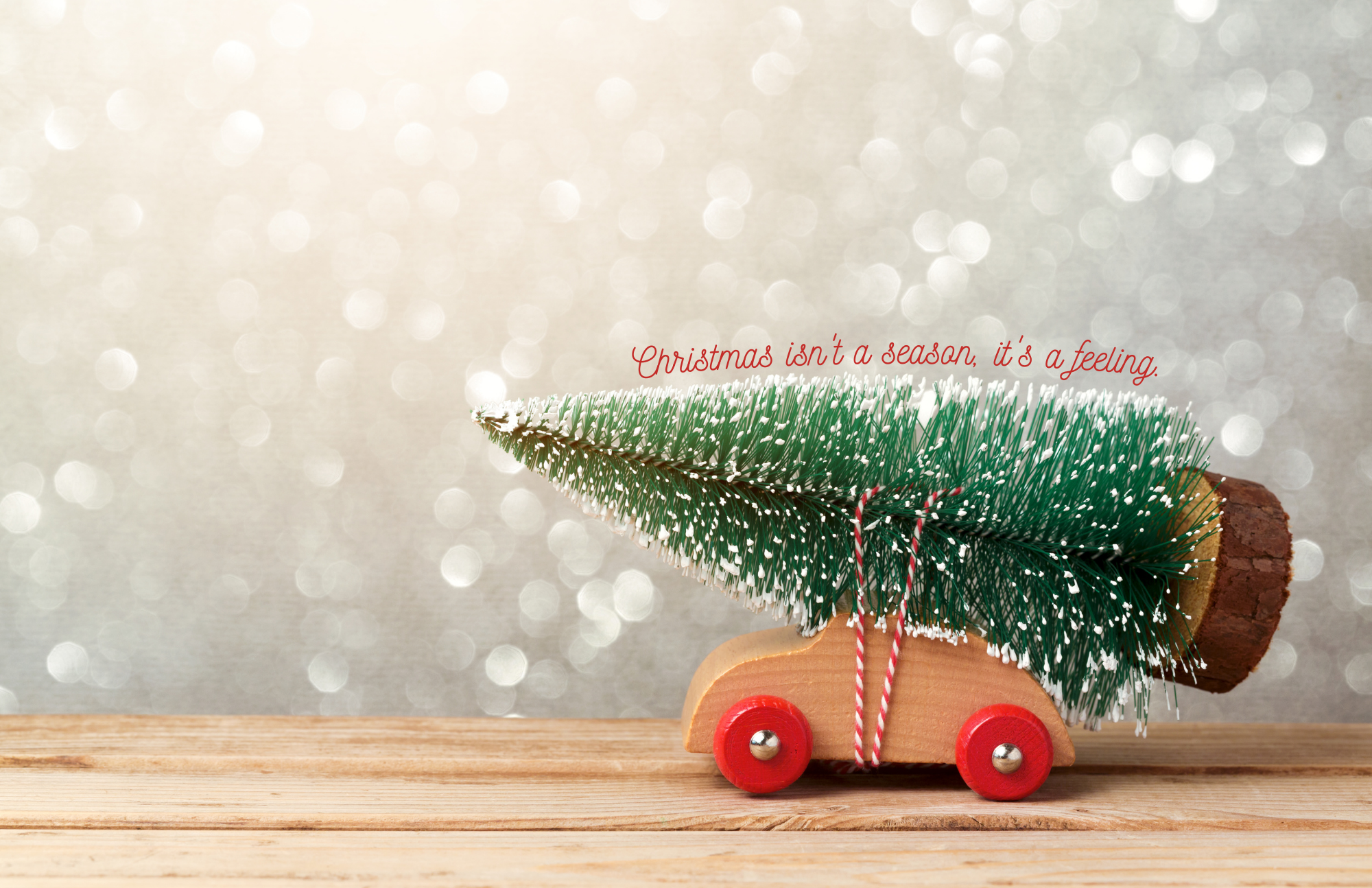 TAYLOR GRAY - 11x17 TRADITIONAL CHRISTMAS insert set of 10