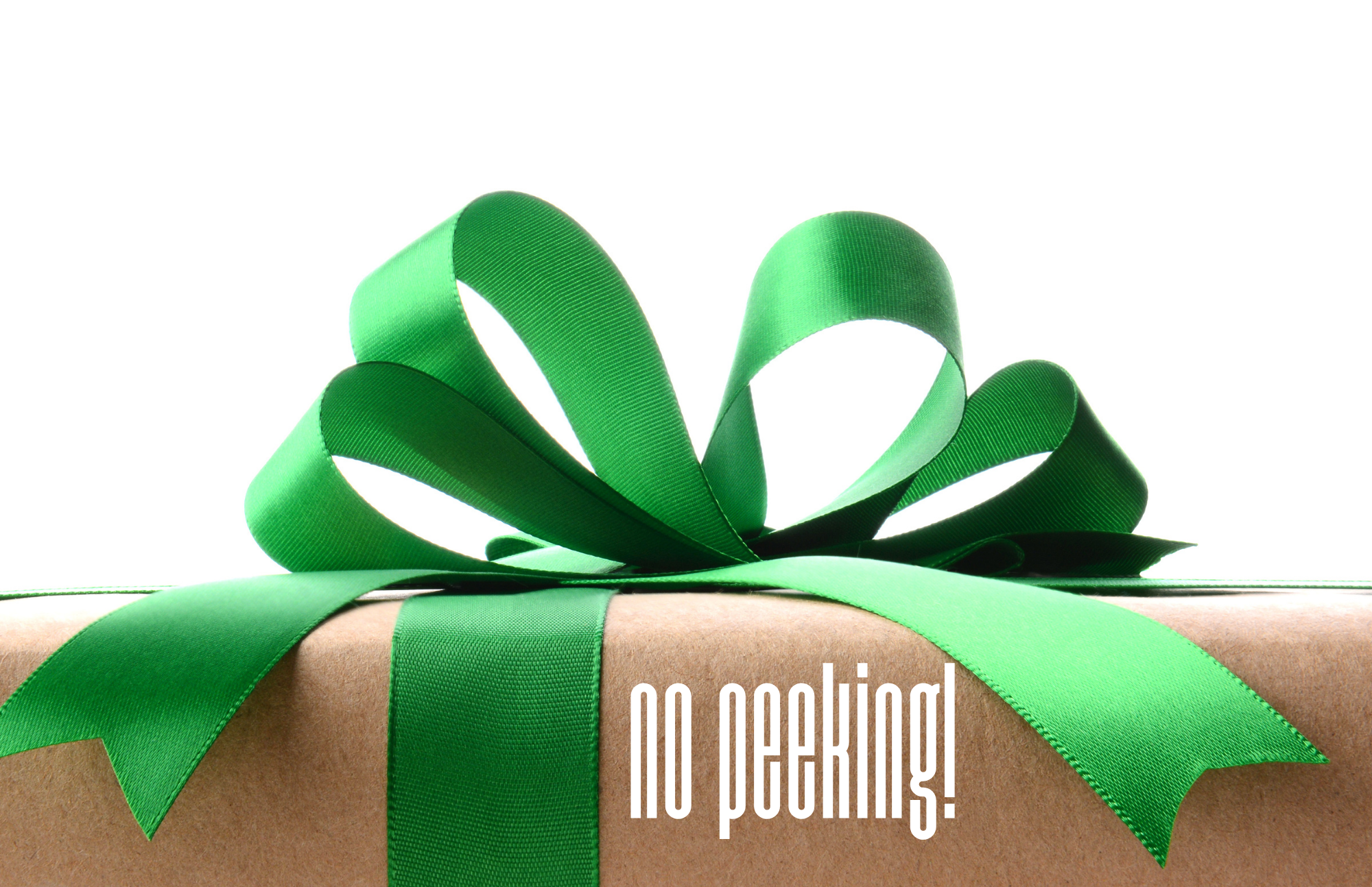 TAYLOR GRAY - 11x17 TRADITIONAL CHRISTMAS insert set of 10