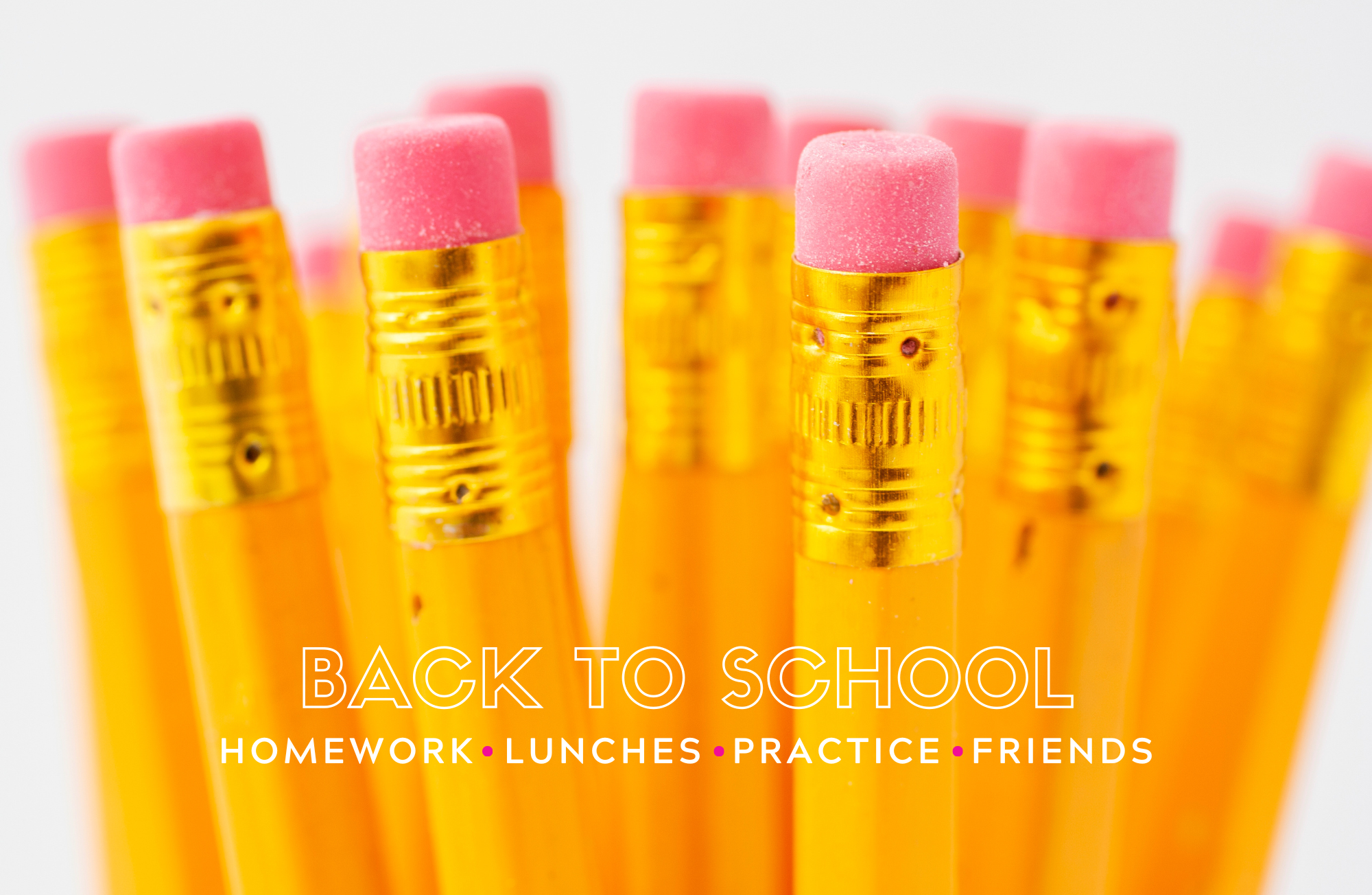 TAYLOR GRAY - 11x17 ALL YEAR LONG VOL 2 insert set of 12