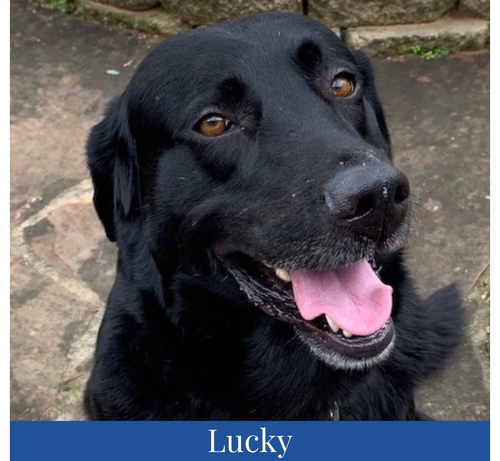 WhatsApp Image 2025-09-16 at 9.03.22 PM (1).jpeg__PID:8de08805-f6eb-4752-a9bb-c432c0846310