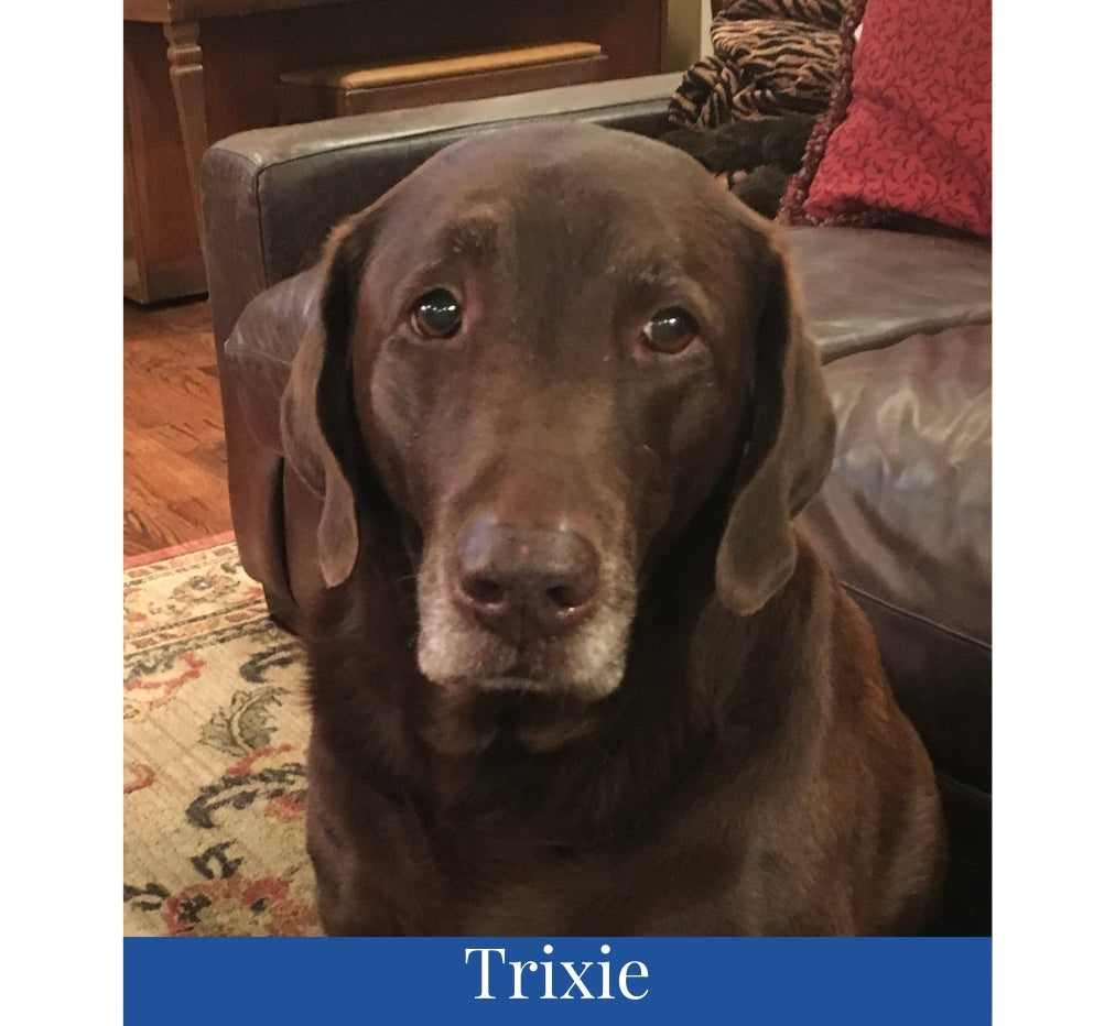 WhatsApp Image 2025-09-16 at 9.03.22 PM (2).jpeg__PID:8805f6eb-e752-49bb-8432-c08463104788