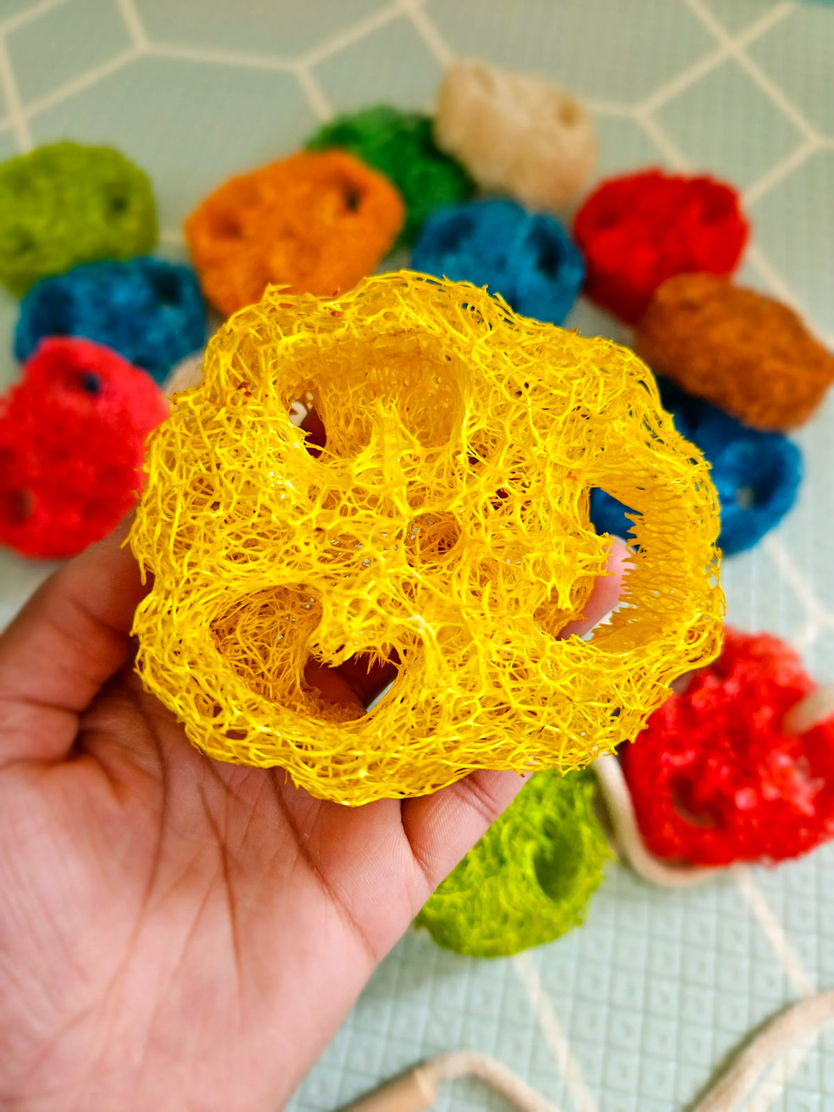 QToys Australia (USA) Rainbow Loofah Lacing Set