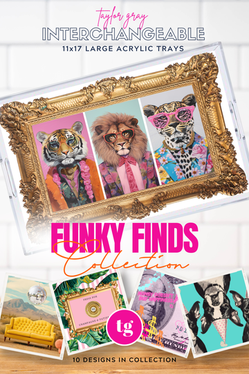 TAYLOR GRAY - 11x17 FUNKY FINDS insert set of 10