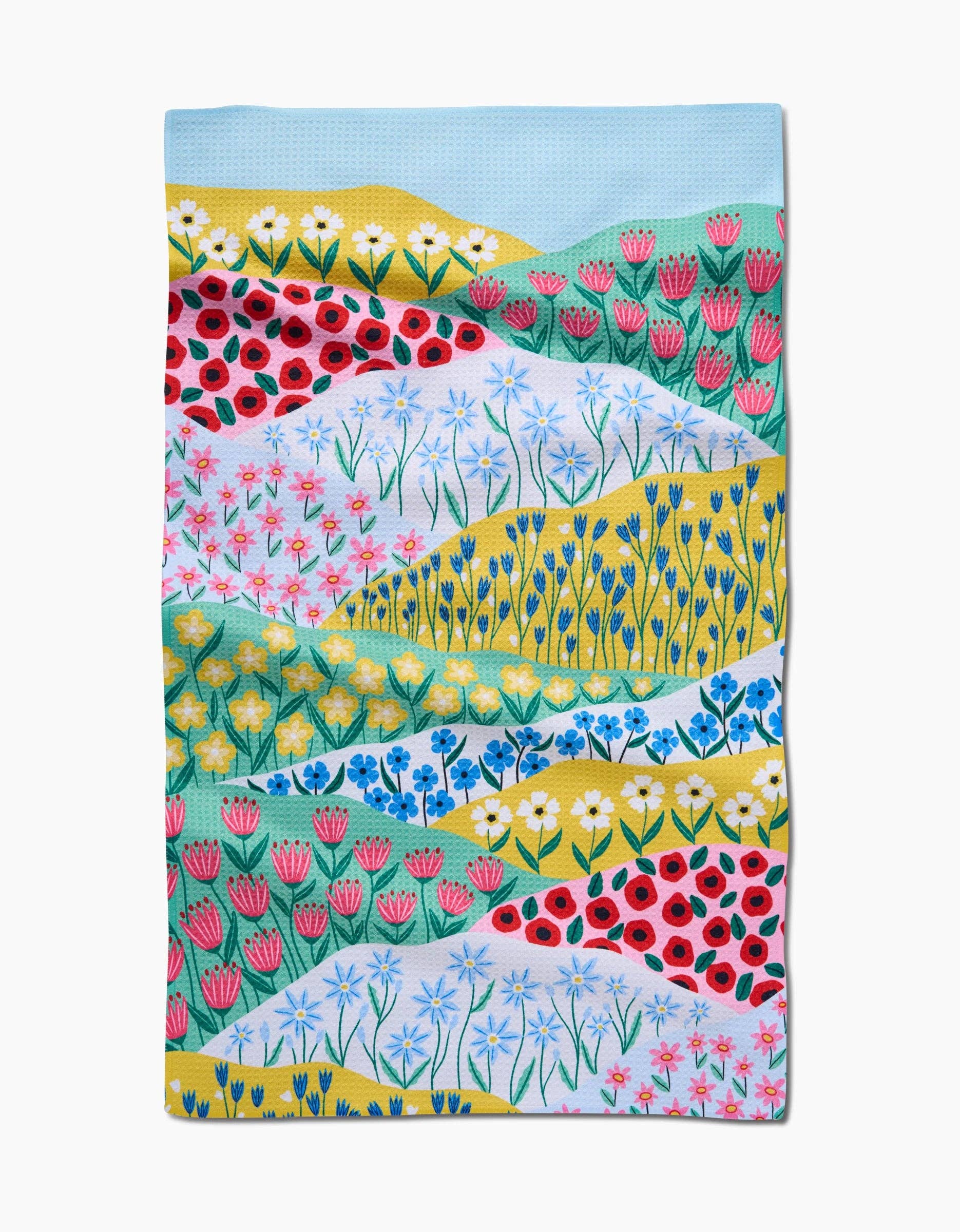 Geometry - Spring Fields